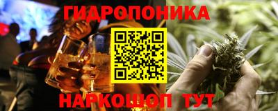 дмт Можга