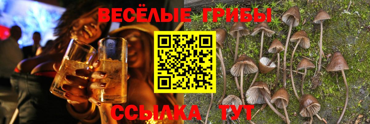 Псилоцибиновые грибы Magic Shrooms  Вход с VPN  Волжск 