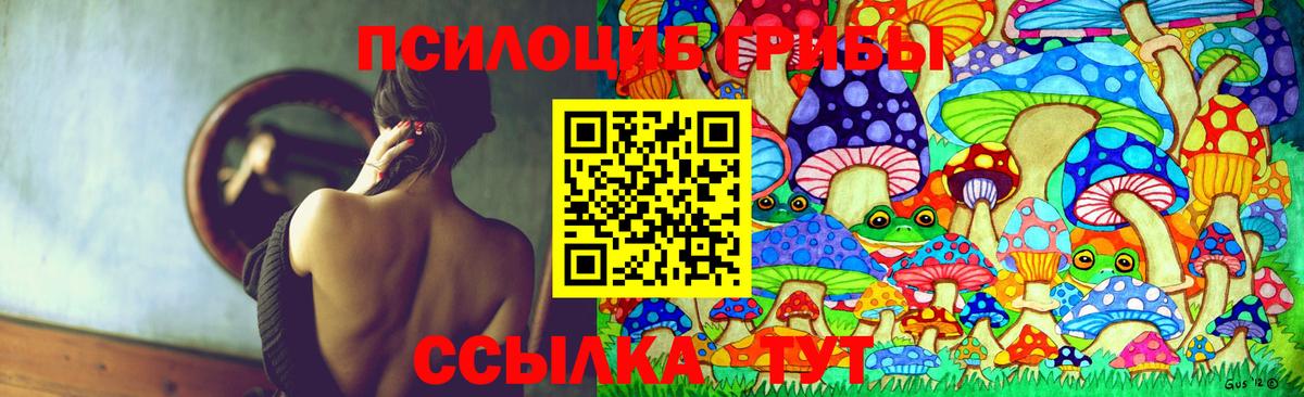 Галлюциногенные грибы Psilocybine cubensis Волжск
