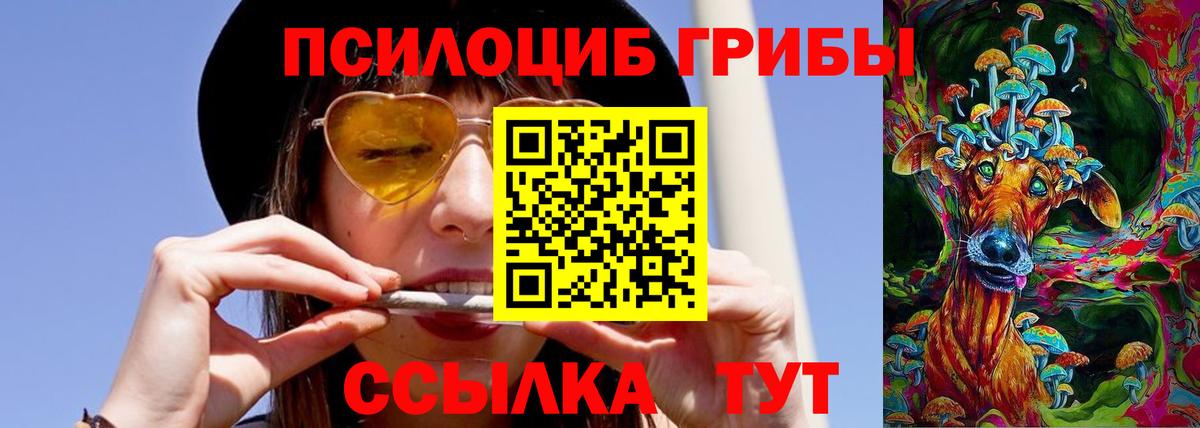 Псилоцибиновые грибы Cubensis Волжск